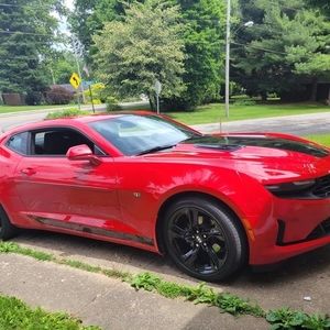 Meet your Posher, Roger